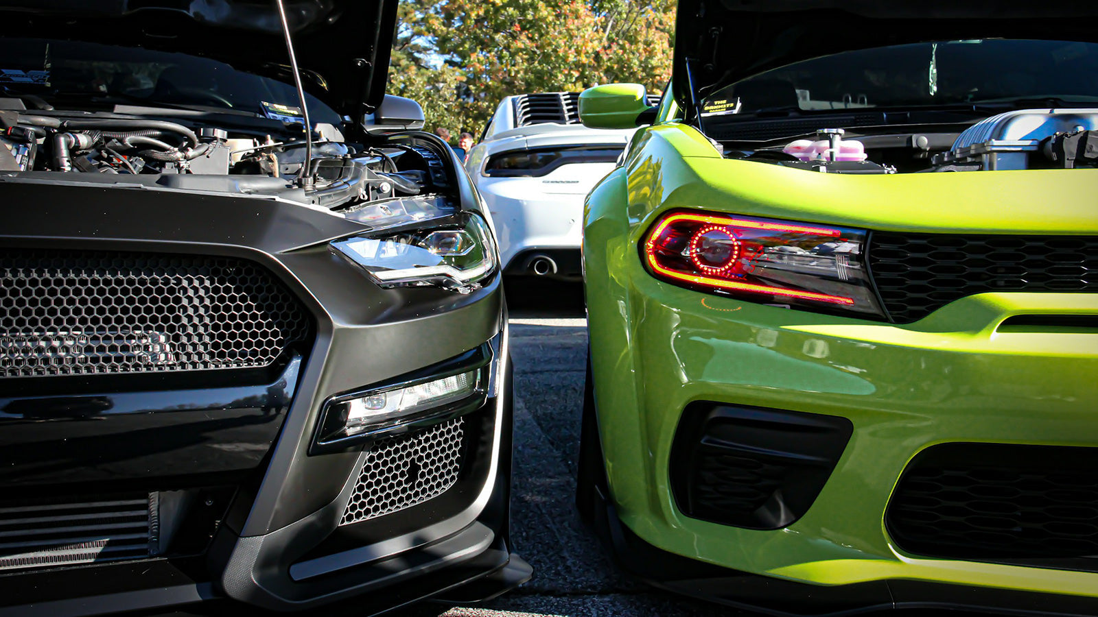 Throttle Response Controller vs. ECU Tune: Who's the King of Performance Mods?